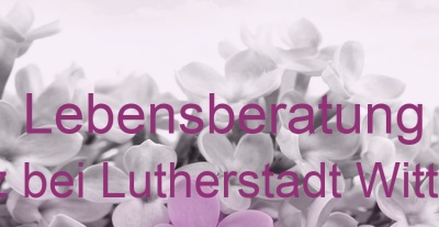 Lebensberatung Trebitz bei Lutherstadt Wittenberg | Top-Experten für Kartenlegen, Wahrsagen, Hellsehen, Zukunftsdeutung. Lebensberatung Trebitz bei Lutherstadt Wittenberg | Top-Experten für Kartenlegen, Wahrsagen, Hellsehen, Zukunftsdeutung.